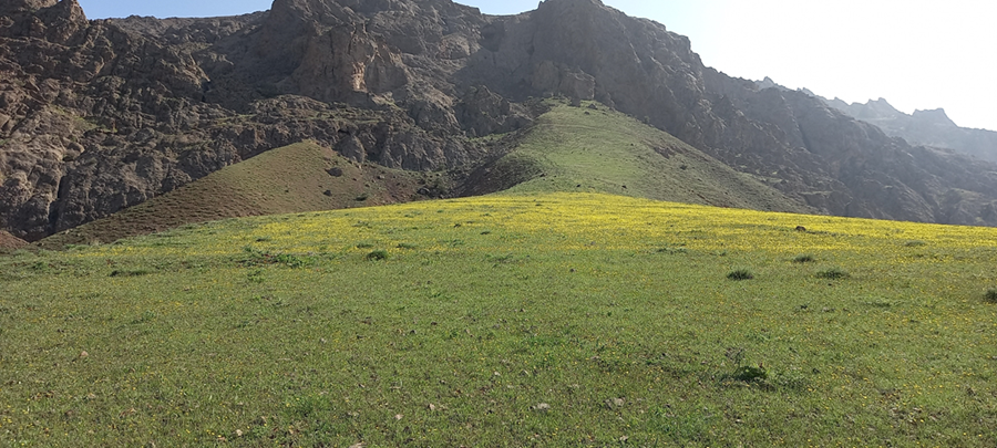 کلاردشته